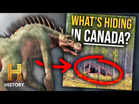 Mysteries of Canada *Shocking Theories Revealed!* | The Proof Is Out There | History