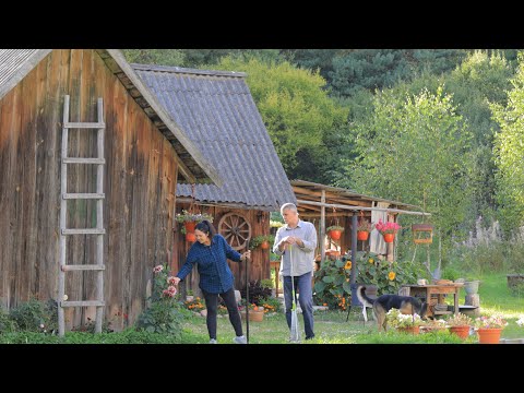 Rural life. Family creates a cozy home: Cooking on the fire & building a fence