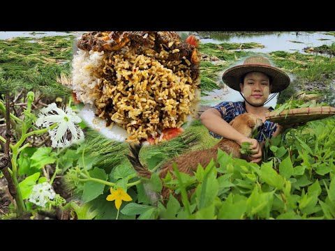 လှေလှော်ပြီးချဥ်ပေါင်ခင်းထဲအရွက်ခူးမယ် ငါးချဥ်ပေါင်ဟင်းလေးနဲ့နားမူထမင်းမြိန်မယ်လေ😋🥰