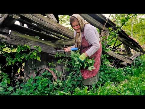 Hard Life of an 80-Year-Old Elder Living Alone in Rural Transylvania