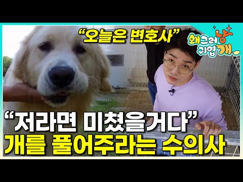 "He's the kindest dog I've ever met..." There really are no bad dogs in the world. How will a dog...