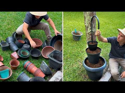 Old Plastic Pots: 4 Ideas to Decorate Your Garden!🪴