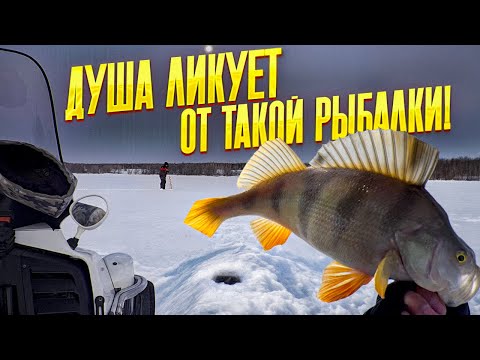 We found a dump in the riverbed and it began! The line is ringing with these fish! The fishing wa...