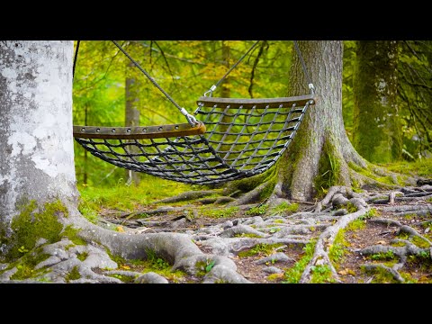 Beautiful Piano Music - Relaxing Music, Study Music, Stress Relief, Sleep Music (Elijah)