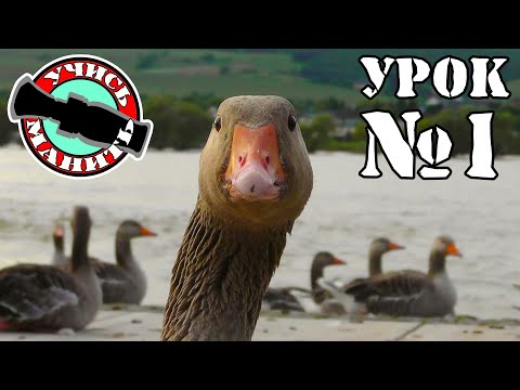 Как манить белолобого гуся  Занятие №1