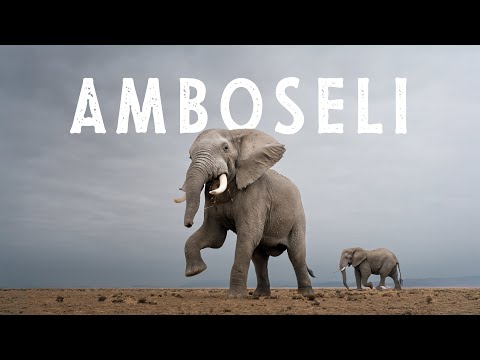 The Land of GIANTS - Amboseli National Park