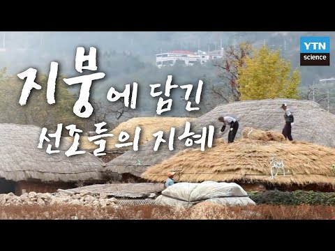 [한국사 探] 지붕에 담긴 선조들의 지혜 / YTN 사이언스