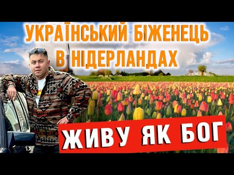 Minimum wage in the Netherlands and monthly expenses/Is it profitable to live in the Netherlands ...