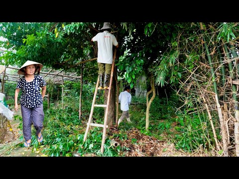 We Were Shocked to Discover Why the Woman Cried When We Came to Clean Her House!