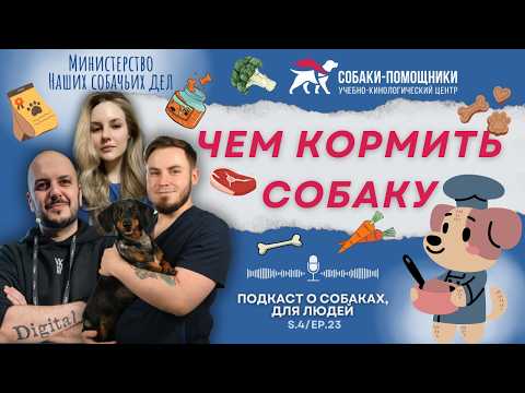 Чем кормить собаку? Подбор рациона. Мифы и недопустимые диеты.