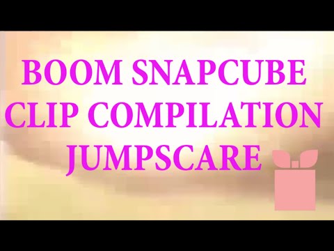 snapcube clips that prove that the whole world's gone nuts
