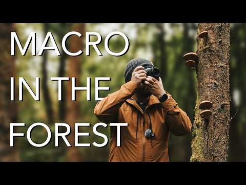 Macro in the Forest: Top Tips for Lighting and Focus Stacking Your Best Photos