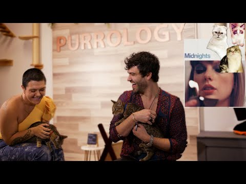 Listening to Taylor Swift | Midnights In A Cat Café (Producer Reacts)