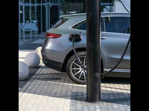 Do Chinese EVs outperform others on price and quality?