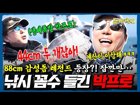 감성돔 88cm 최대어 논란❗ 이태곤 “형님, 이게 말이 돼요?ㅋㅋ”🤣 박진철 프로 꼼수에 낚시판 초토화🔥 | 도시어부2 15회