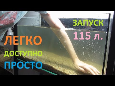Учимся запускать аквариум / 115 литров / Доступно и просто