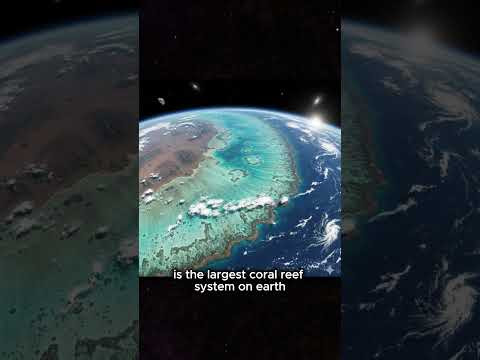 3 Interesting Facts About Australia π¦πΊ