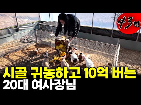 A day in the life of a 20-something female CEO and her 30-something brother and sister who moved ...