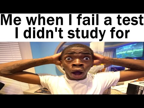 School Memes ONLY Students Understand