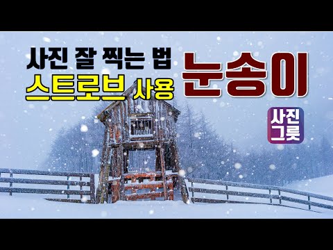 겨울 눈 사진 잘 찍는 법