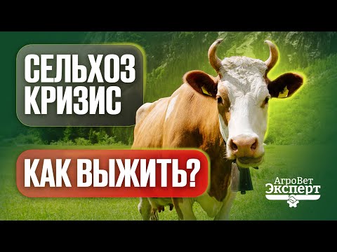 Кризис в сельском хозяйстве. Как выжить? 