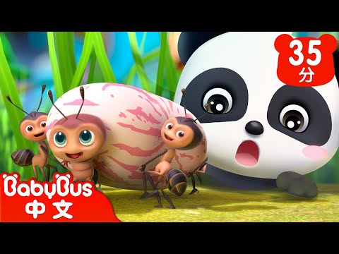 螞蟻搬豆 | 經典中文兒歌特輯 | 小動物兒歌 | Kids Song | 童謠 | 動畫 | 卡通片 | BabyBus | 寶寶巴士