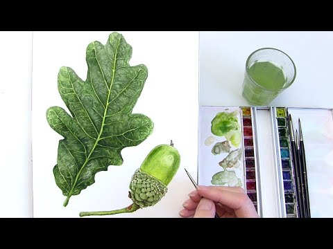 How to paint a realistic leaf in watercolour