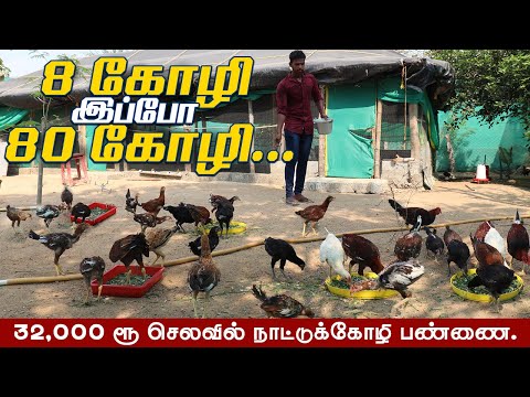 இந்த முறையில் நாட்டுக்கோழி வளர்த்தால் வெற்றிதான் | புதிய பண்ணையாளர்களுக்காக அனுபவ பதிவு  | KAS Farm