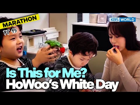 [1HR] 🥰HoWoo😍 Marathon😂 Pt.19🤭 [The Return of Superman] | KBS WORLD TV