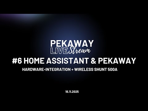Home Assistant & Pekaway - Hardware-Integration + Wireless Shunt 500A.