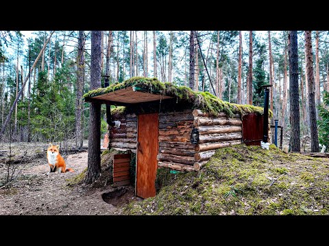 48 Hour Spring Retreat:  Transforming My Log Cabin After a Fire!
