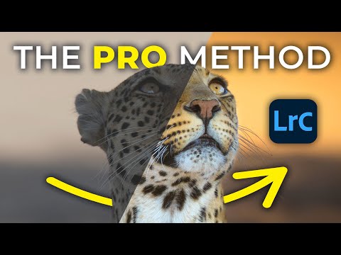 How to rescue DULL AND LIFELESS images using LIGHTROOM!