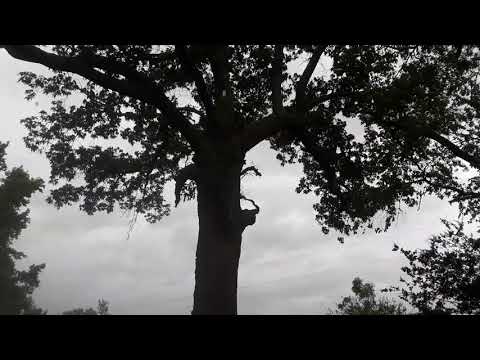 Hurricane Florence,  09/14/2018,  10:00 am