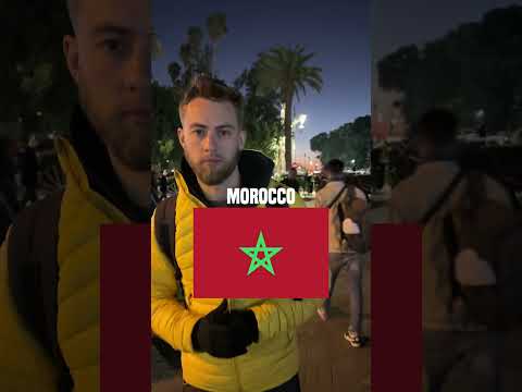 i'm very allergic to horses... :(