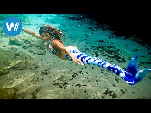 ARTE 360° Reportage: Staffel 26