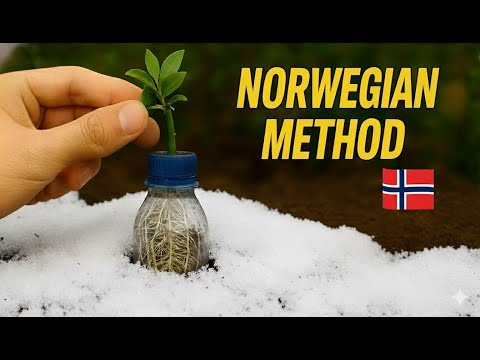 THE NORWEGIAN METHOD… + 2 MORE ROOTING TRICKS THAT REALLY WORK 😱