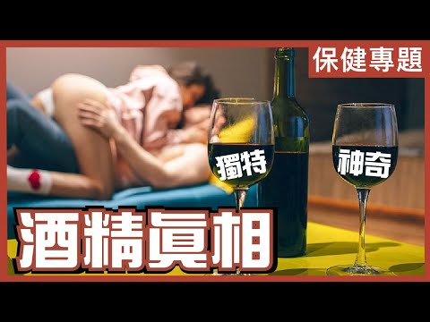 酒精好有營養價值？｜獨特、神奇、不能被取代的功能｜飲幾多先有益？｜不是陰謀論｜中文字幕