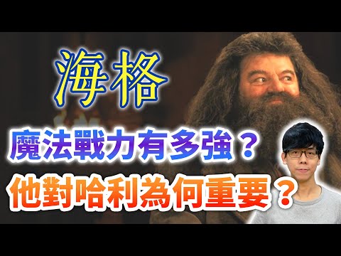 海格的魔法戰力很弱嗎？為何霍格華茲大戰不見他有亮眼表現？他又有何重要性？【哈利波特透視鏡】#19|奇幻圖書館