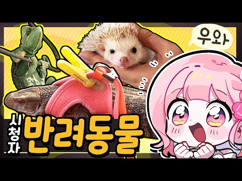 Viewers' amazing animal boasts ✨ Even a 'disruptive species' appears?!