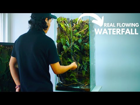 i made a tall jungle waterfall paludarium | here's how!