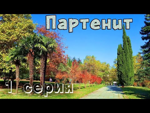Крым Партенит. Смотрим великолепный парк санатория Крым. Музей камней и древностей. Черное море.
