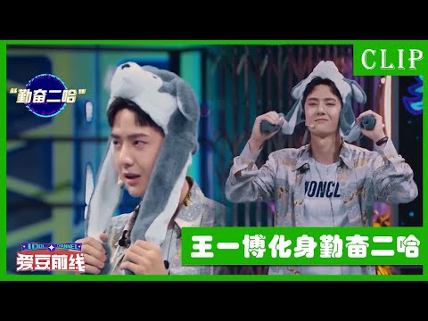 🕺Wang Yibo is incarnation of Qinqin Erha's music rhythm, and the four knights are adorable to the ..