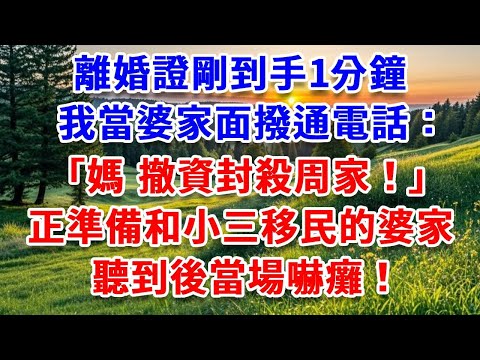 離婚證剛到手1分鐘，我當婆家面撥通電話：媽，撤資封殺周家！正準備和小三移民的婆家，聽到後當場嚇癱！#詩涵講故事#為人處世#生活經驗#情感故事#晚年哲理#說故事#完結文#原創故事