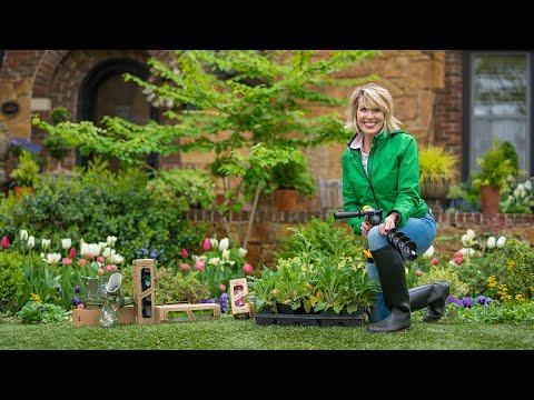 Power Planter Auger // Linda Vater