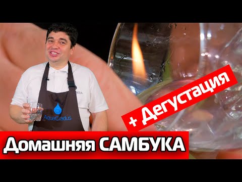 Как приготовить САМБУКУ в домашних условиях?