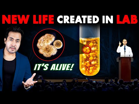 SCIENTISTS Finally Created LIFE In LAB In Just 600 Days | Origin Of Life On Earth Proved?