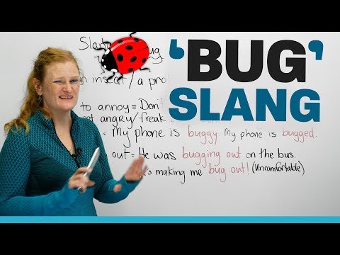 SLANG words using 'bug' in English