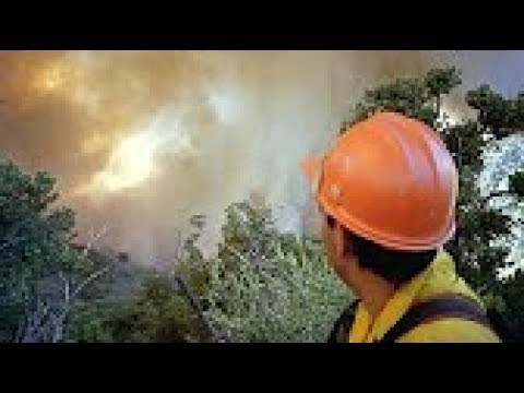 WFSTAR:  Pt 2 1994 South Canyon Fire on Storm King Mountain