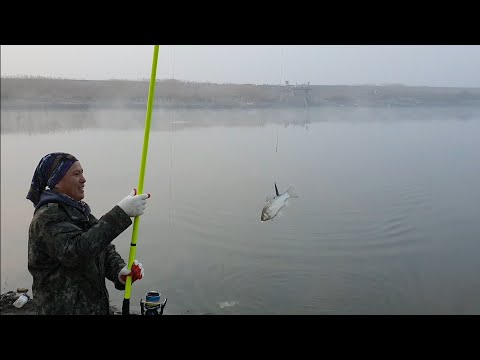 Как люди ловят на дергач.