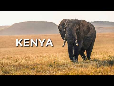 KENYA: A Story Most People Never Hear